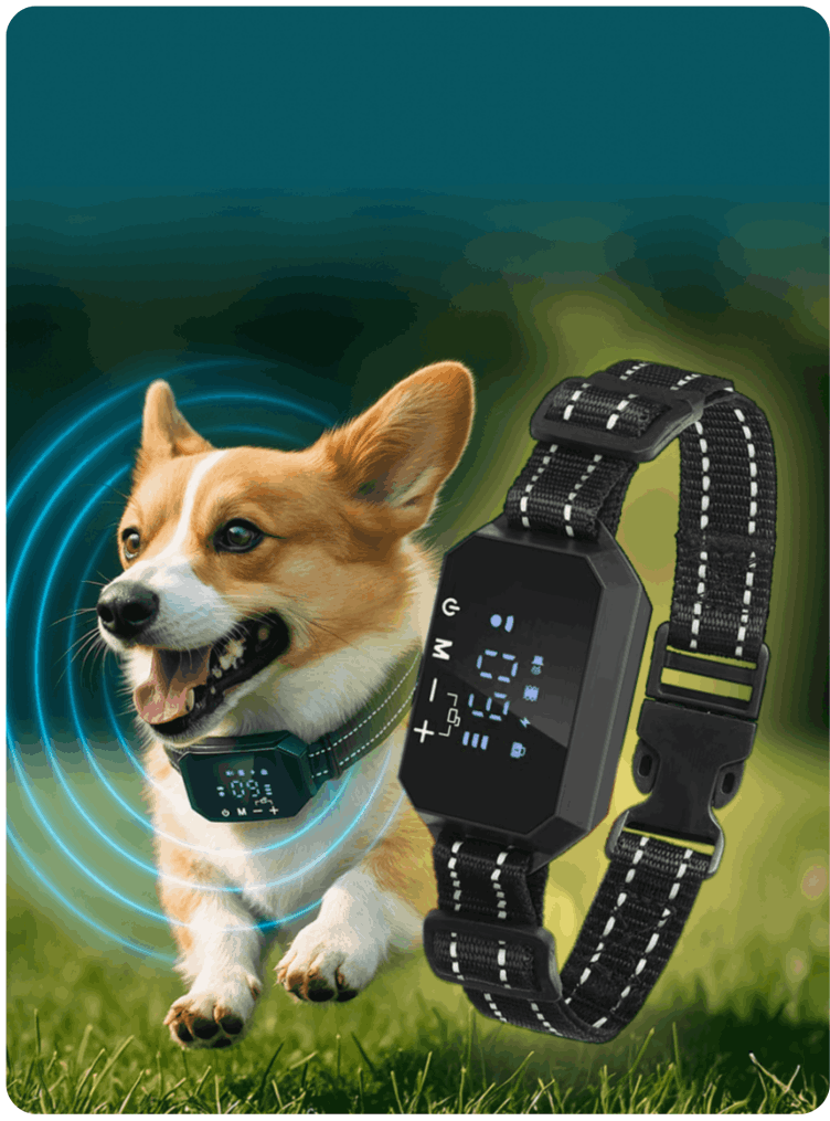 Furthrive GPS